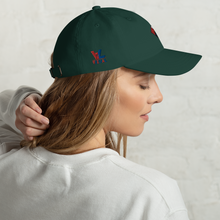 Load image into Gallery viewer, Dad hat Vizúal Diamond logo ( more colors available)