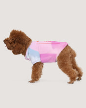 Load image into Gallery viewer, 523 Collection BWE Edition Doggie Tee 1