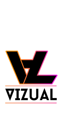Vizual523
