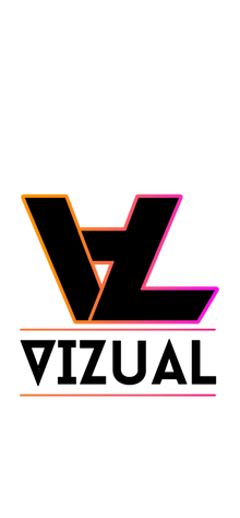 Vizual523